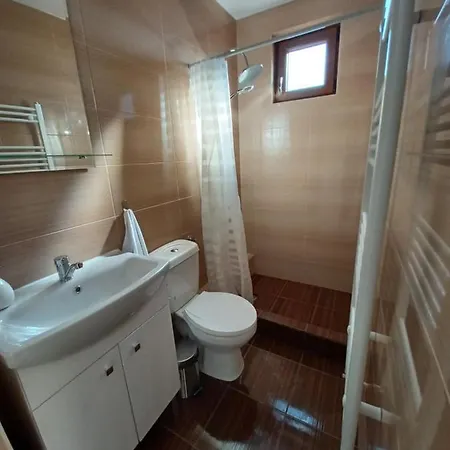 Langa Manastirea Izbuc Guest house